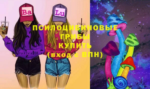 ПСИЛОЦИБИНОВЫЕ ГРИБЫ Вяземский