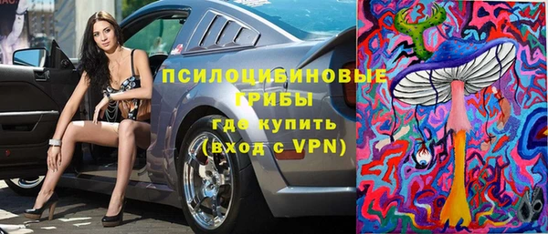 ПСИЛОЦИБИНОВЫЕ ГРИБЫ Вяземский