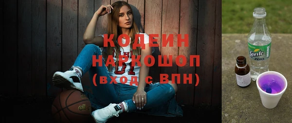 PSILOCYBIN Горняк