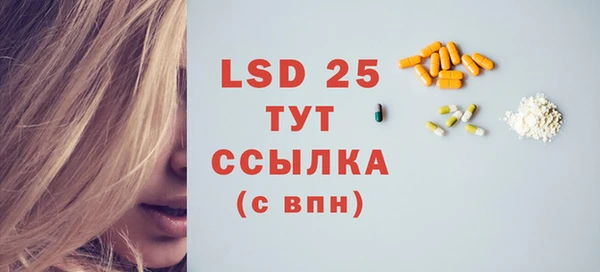 PSILOCYBIN Горняк