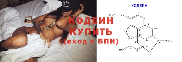 ПСИЛОЦИБИНОВЫЕ ГРИБЫ Вяземский