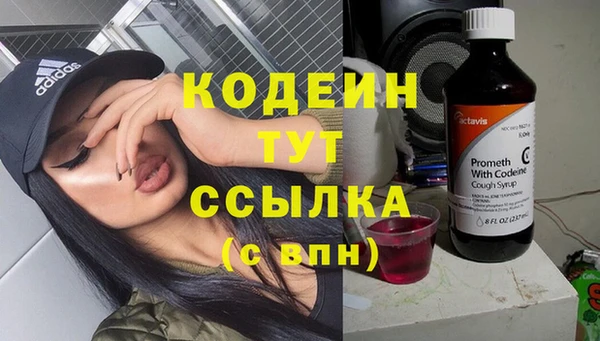 PSILOCYBIN Горняк