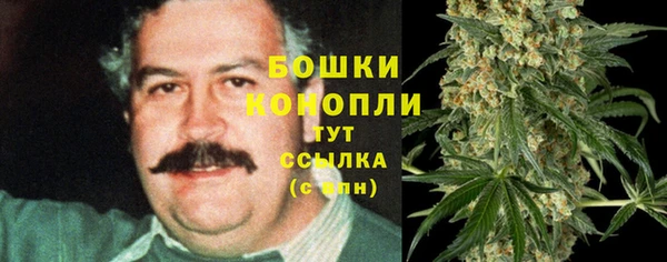 PSILOCYBIN Горняк