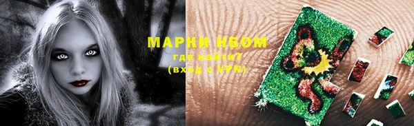 PSILOCYBIN Горняк