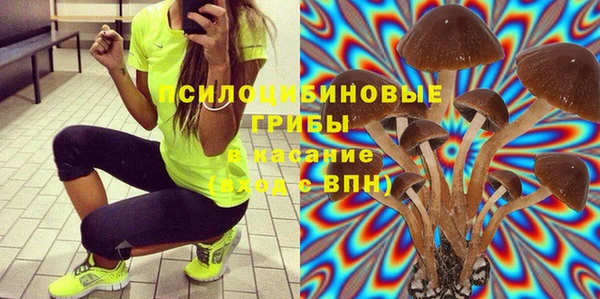 ПСИЛОЦИБИНОВЫЕ ГРИБЫ Вяземский