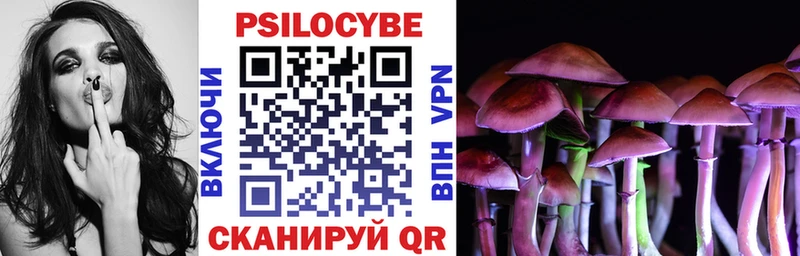 Галлюциногенные грибы Psilocybine cubensis  Купить где  Венёв 